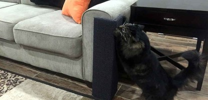 How to save your furnitures from your cats(#0005)