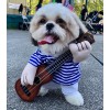ZFbird Guitar Dog Costume