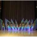 led butterfly wings