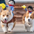 pet cowboy costumes